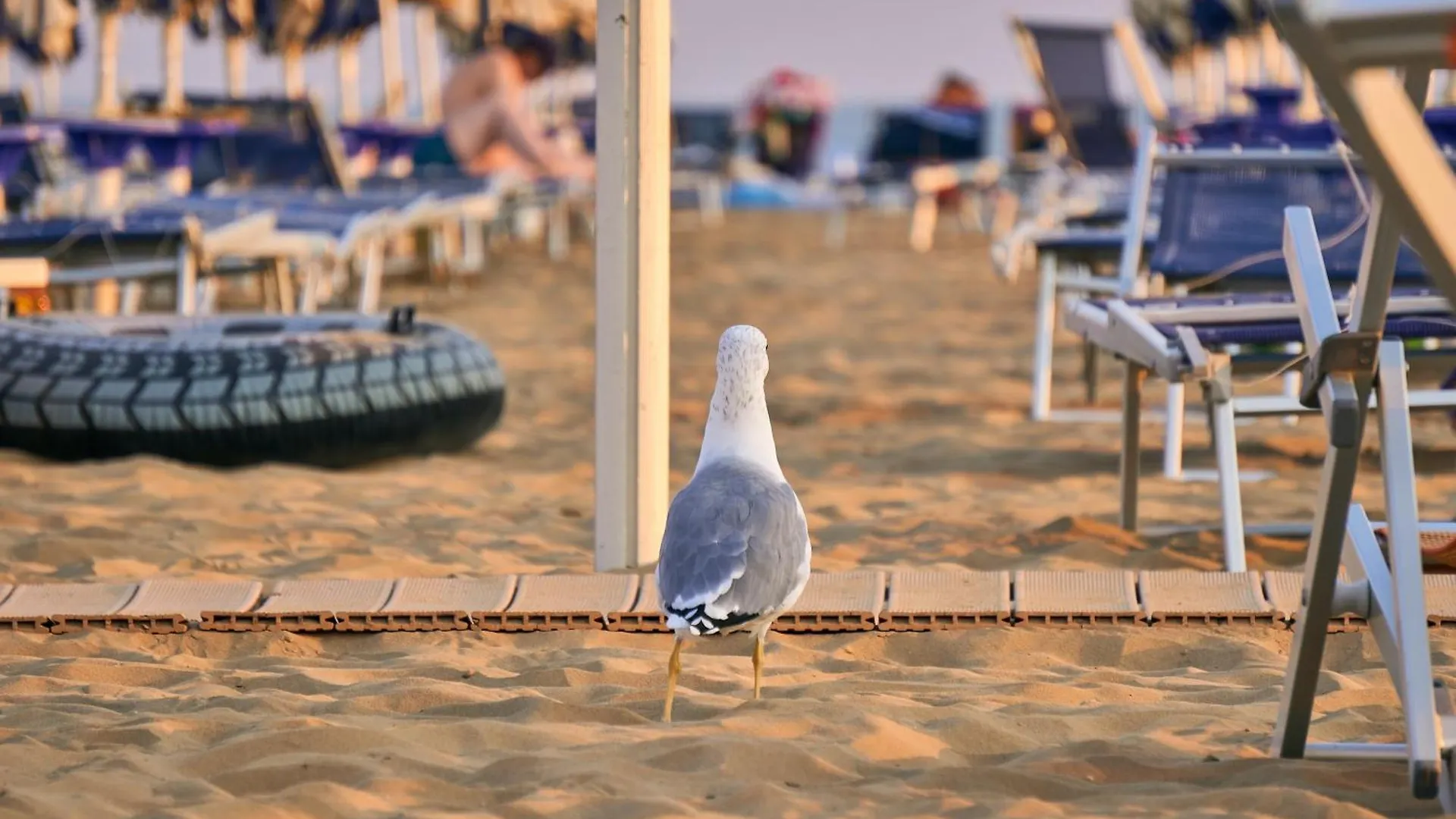 Apartment Comfy 2 Bedroom Flat Near The Beach Bibione